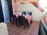 Imagen 6 / 48