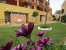 Imagen 4 / 61