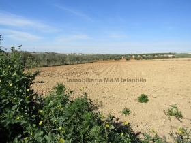 Venta Finca Rústica, ref. 